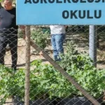 Diyarbakirda tibbi aromatik bitki uretim ve isleme tesisi zywCEdCO