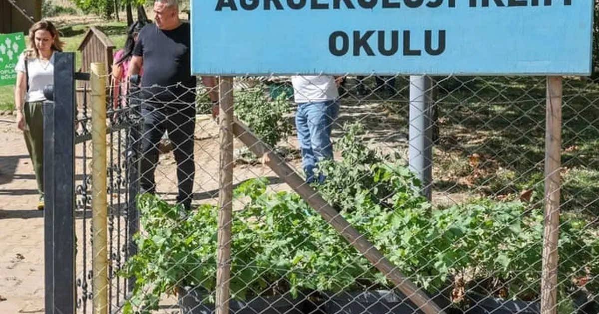 Diyarbakirda tibbi aromatik bitki uretim ve isleme tesisi zywCEdCO